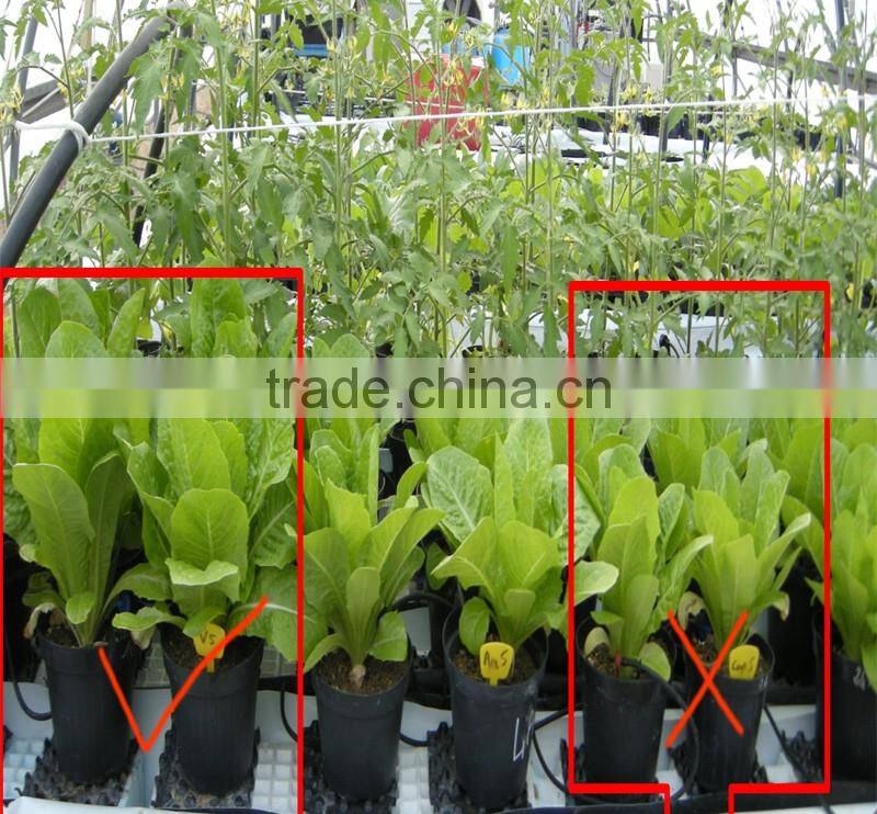 soluble humic acid organic carbon fertilizer for green and health