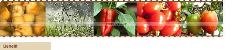 High Quality Better Price Additive liquid organic fertilizer