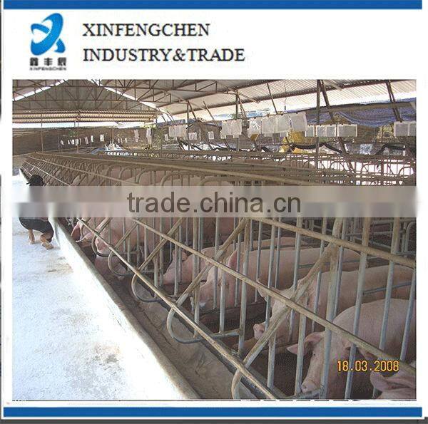 Pig farming equipment swine gestation stall