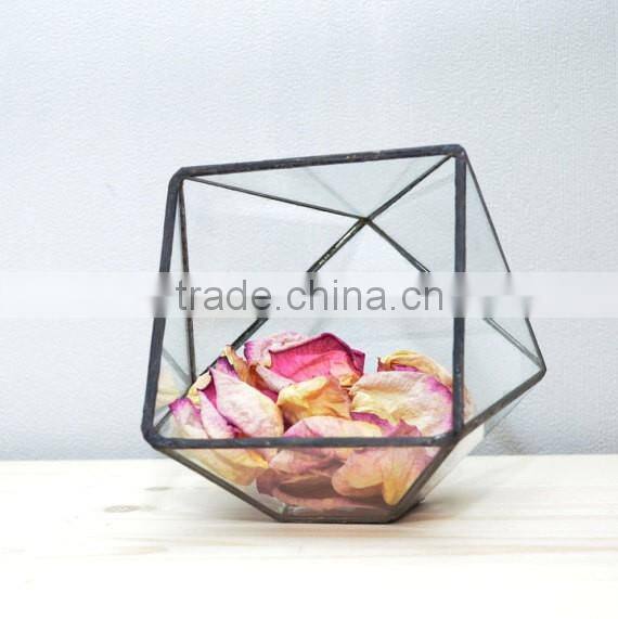 Truncated Zigzag 2 sizes Geometric Flower Glass Terrarium