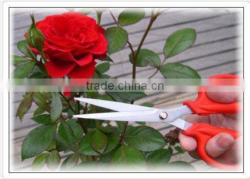 Garden Scissors