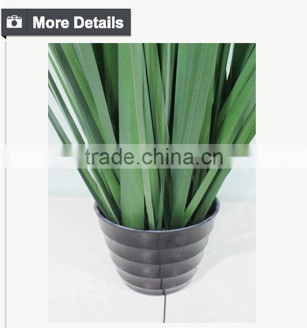Home decoration species potted grass wide blade grass artificial onion grass for appeciation