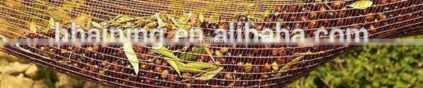 Greece Popular Olive Protection and Harvest Nets with UV stabalizer