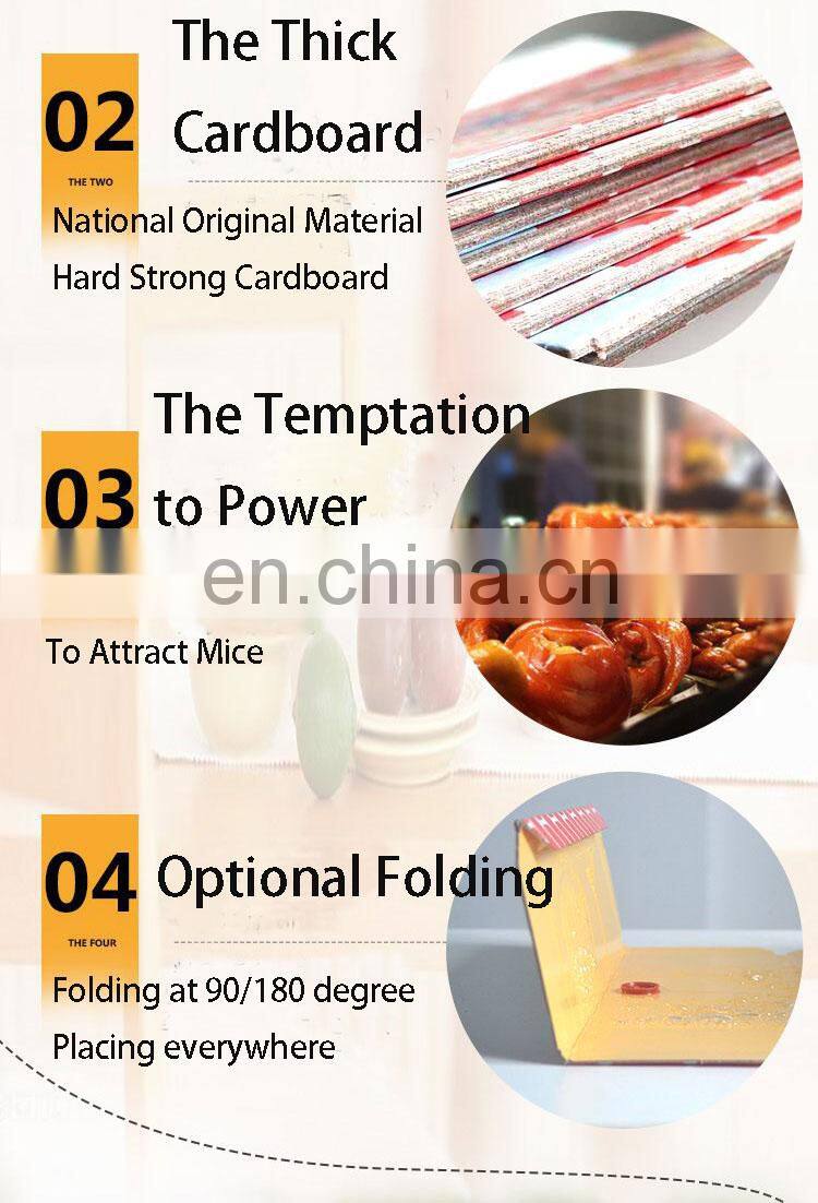 Household pest control sticky cardboard glue board trap for rats mouse