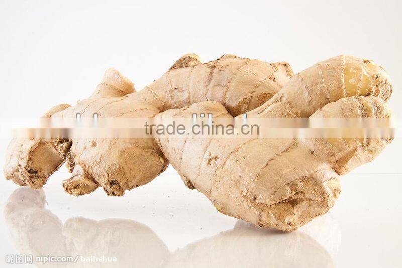 2014 new dried ginger price