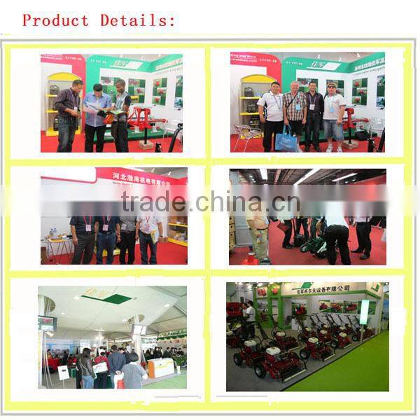 Steel structure horse stable building