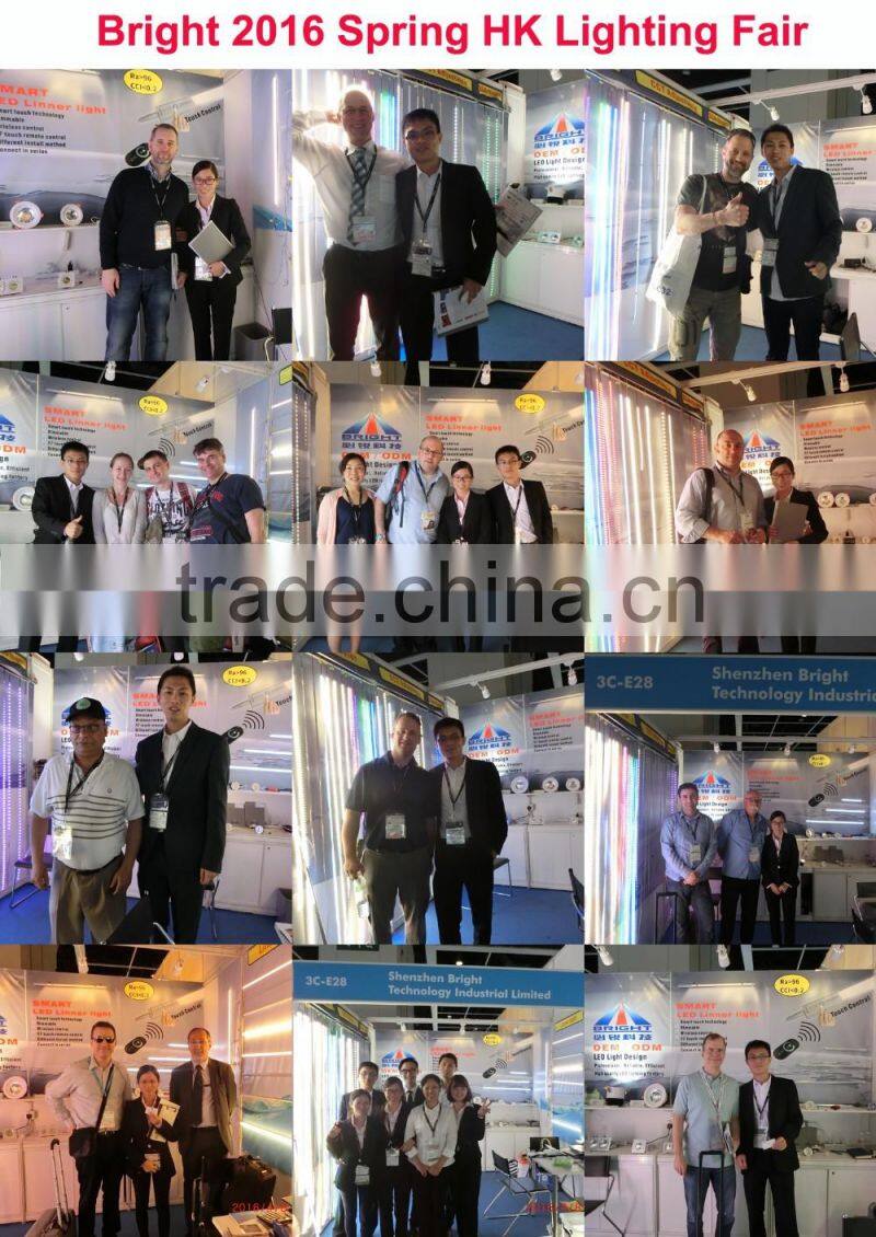 Battery Operate 48V Blue LED Strip,DC 48V Blue LED Light with 60leds/m,Special 48V Blue LED Light Strip