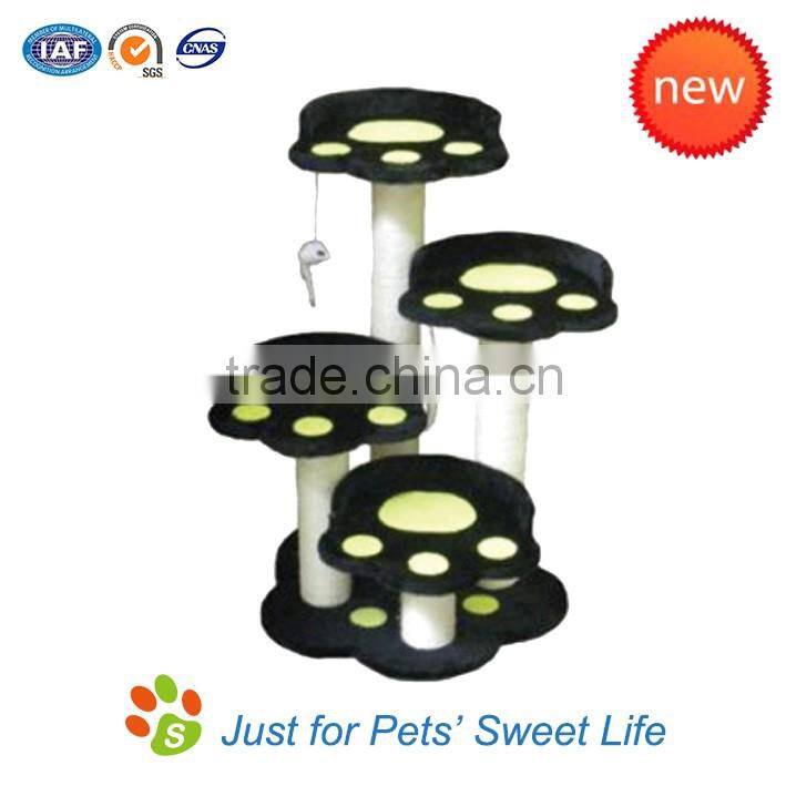 Beautiful fashion luxury cat climbing tree