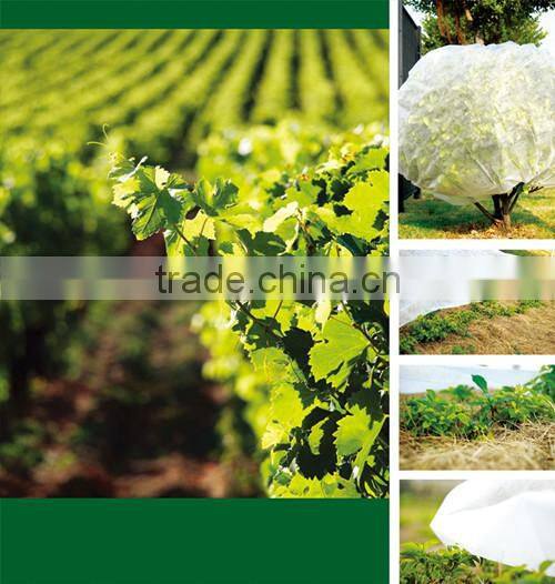 For protecting the plants China supplier Biodegradable Agriculture PP Protective Cover Film for protecting the plants