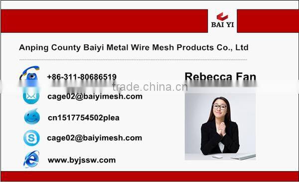 Hot Sale Wire Mesh Layer Egg Chicken Cage