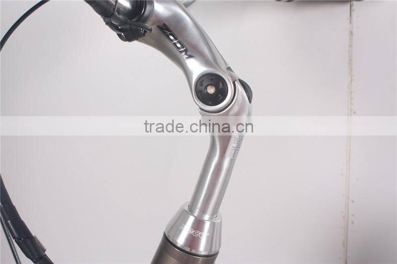 electric bikes for sale Lithium Battery