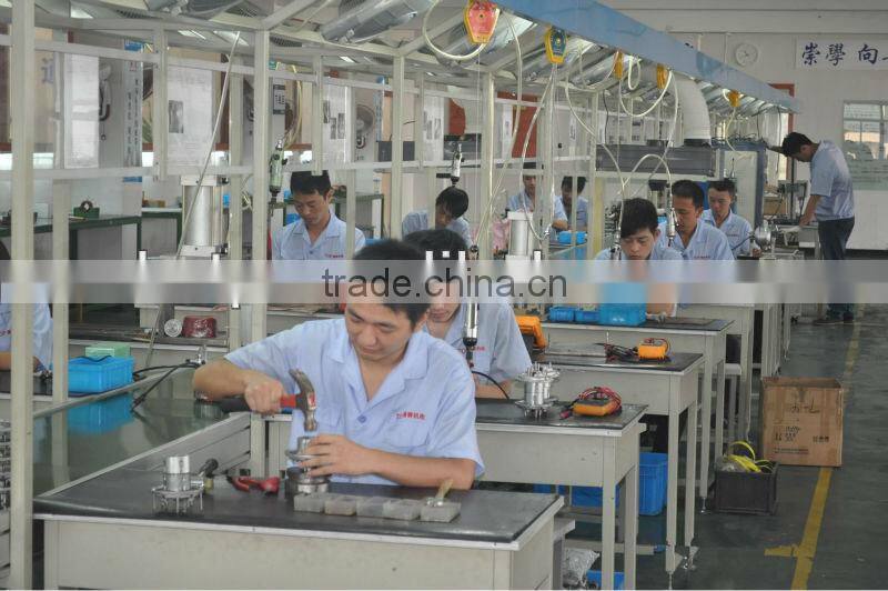 36v250W front rear cheap electric bike kit with LED display