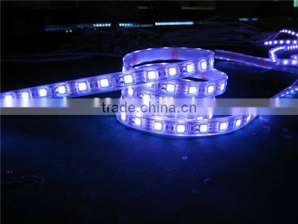 RGB transparent LED chip SMD5050 60leds led strip light