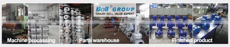mini motor electric ball valve dn20
