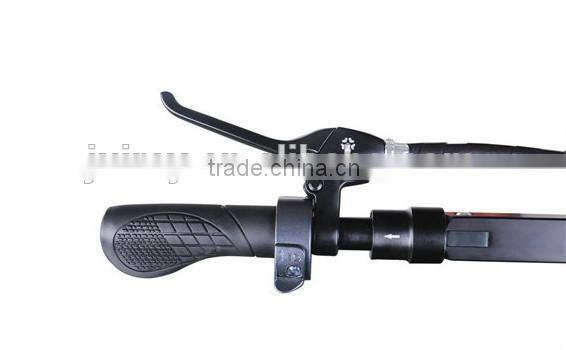 2015 New 350W Lithium Battery Electric Scooter for Sale