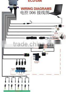 CNG/LPG JL-D06 ECU kit for sequential system
