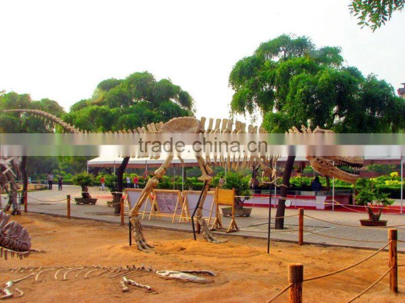 The Dinosaur Fossil model for sale