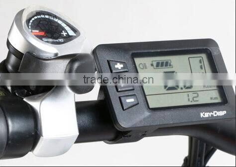 High Cost Performance E-Bike Motor 36V 250W