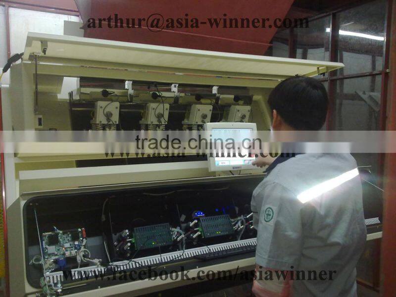 Toor Dal / Split Pigeon Peas / Arhar Dal / Cajanus cajan (Red Ruby)