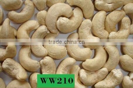 DRIED CASHEW NUTS