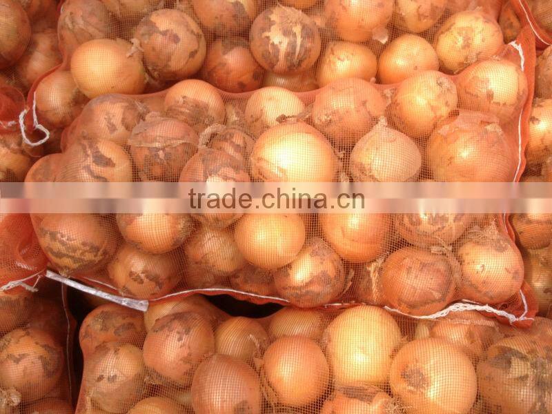 Yellow Onion Red Onion Specification Fresh
