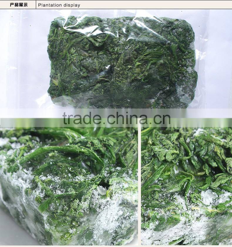 Good quality frozen IQF spinach