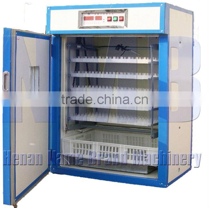 Good quality!!! pigeon eggs for hatching