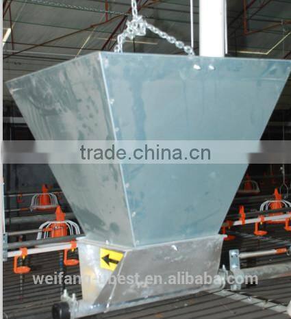 Automatic Poultry Feeder and Drinker for Broiler Chicken