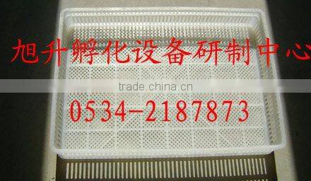 XSA-8 Advanced Electronic Egg Incubator---Full-Automatic Combination Incubator and Hatcher