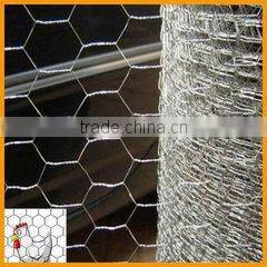 GI chicken wire netting