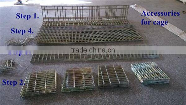 Automatic layer chicken cages, poultry farm cage for 120 chickens