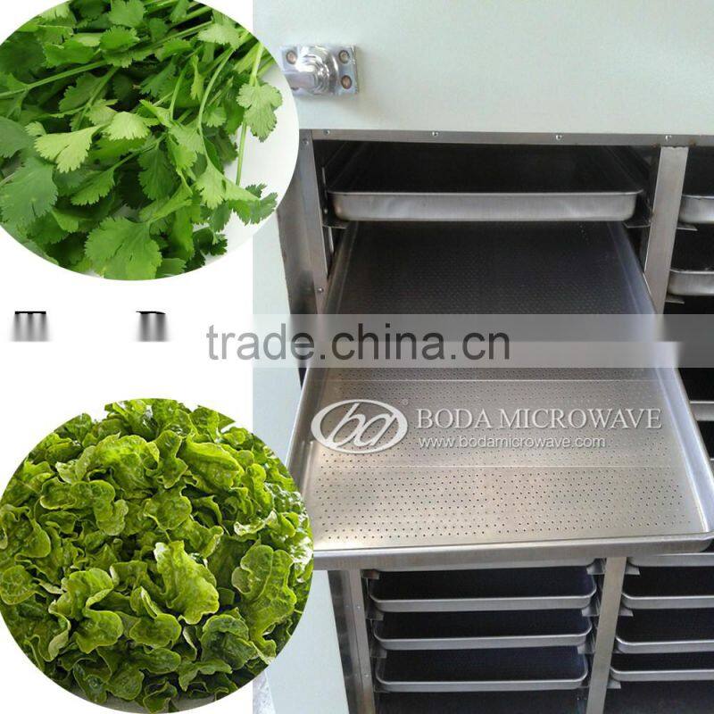 leafy vegetables dryer