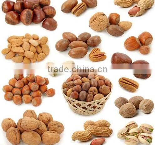 Hazelnut Roasting Machine Roaster Drum Roaster Drying Machine Dryer