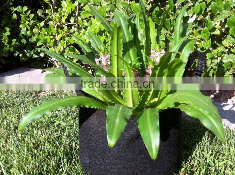 Eco-friendly Felt Grow Bags,Environmentally Friendly Top Quality Fabric Pots