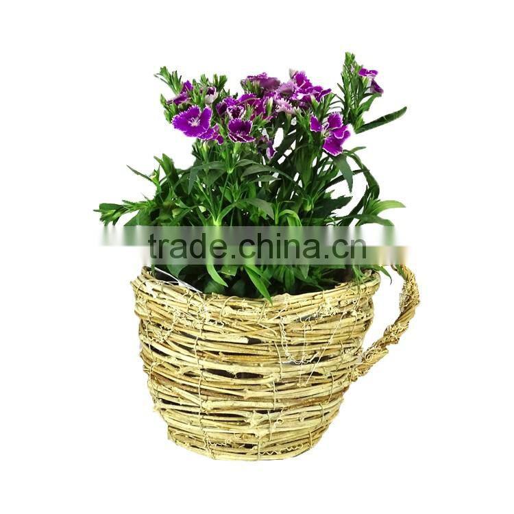 Flowerpot with Circular Natural Rattan Cup Shape/Garden Planter