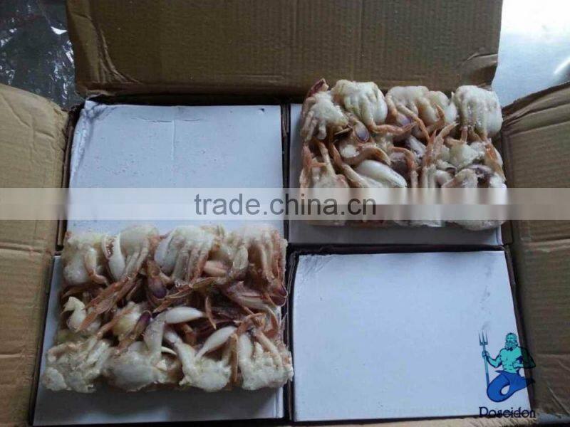 frozen sand crab(Ovalipes punctatus) 2017 new landing