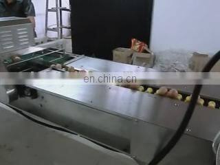 Best Selling Egg Brushing Machine/Egg Sorting Machine/Egg Washing Machine