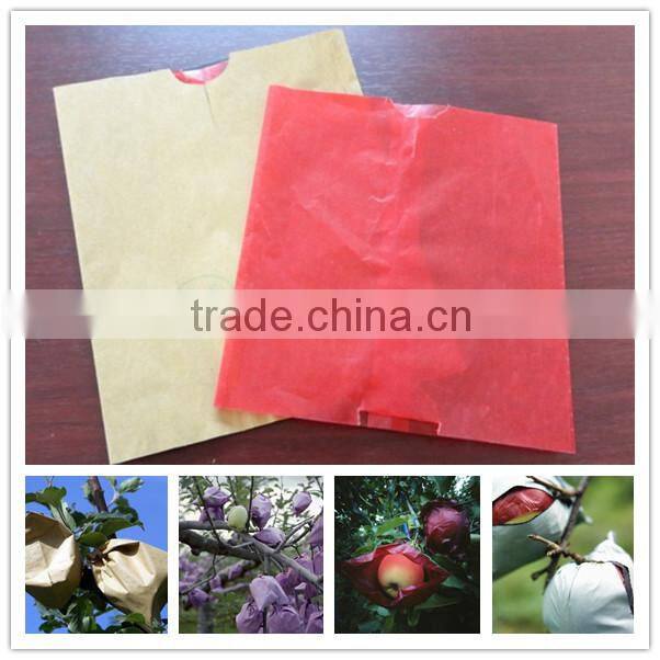 Hot selling apple growing paper bag