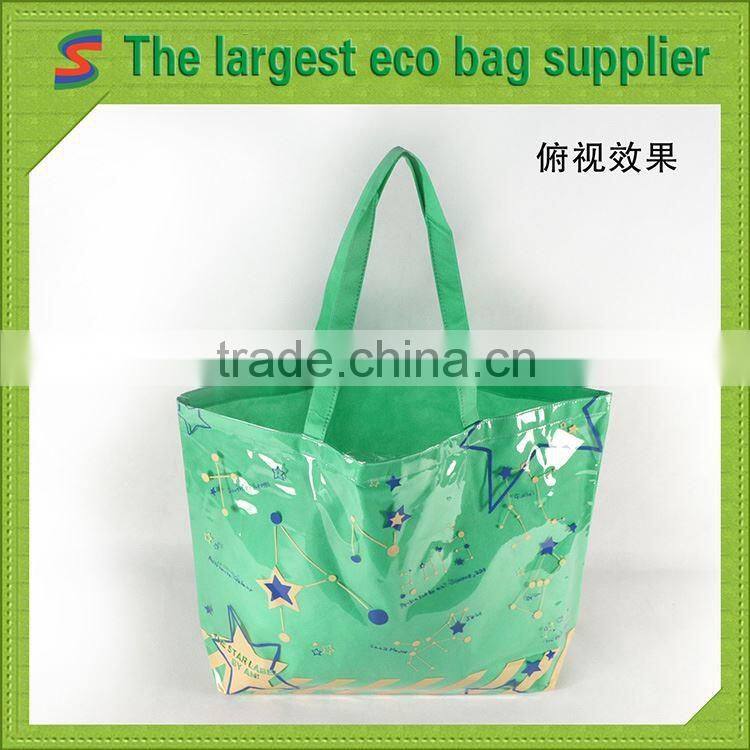 LB95 Pp Non Woven Matt Laminated Bag