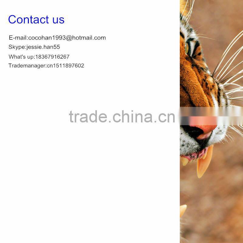 3d window film