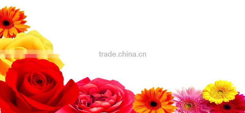 Factory quality 0.7mm-4mm Galvanized Iron Wire Binding Wire price