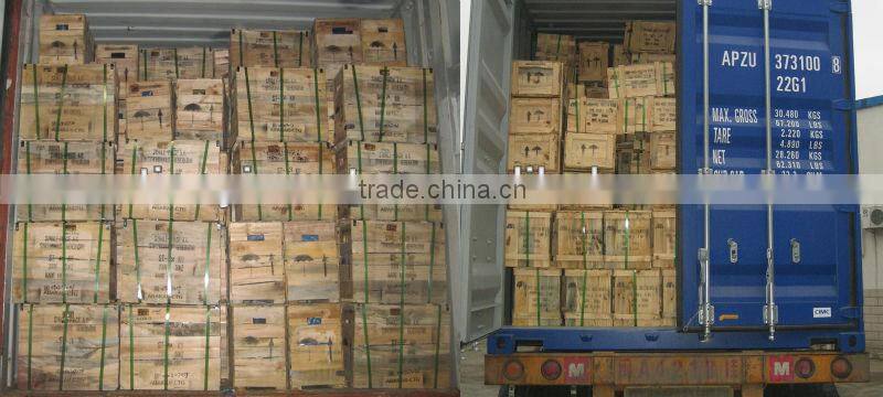 ST 15kw Brush Alternator Single Phase Generator