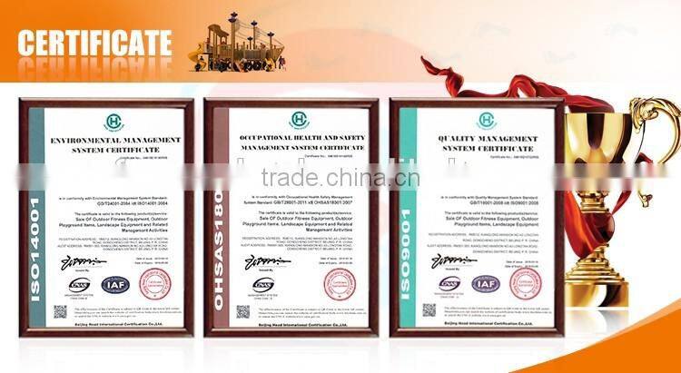 Push Chair--Disabled Fitness Equipment