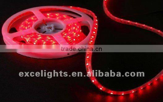 120 leds per meter 3528 led strip light with CE RoHS approval