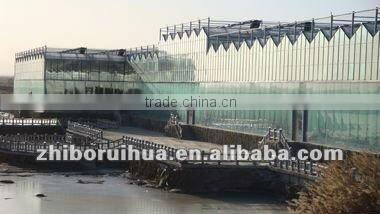 Large Span Glass Multi-span Greenhouse