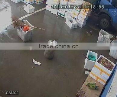 Best Selling CMOS Array H.LED DOME Camera 1200TVL Factory Guangzhou