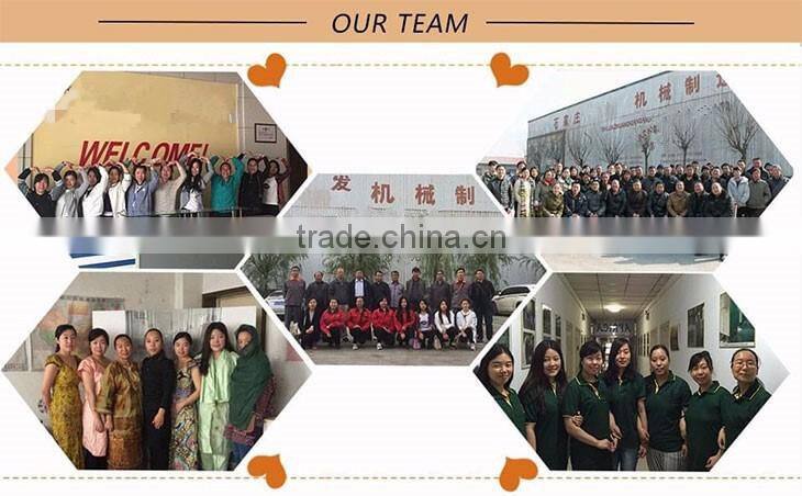 25kg 50kg animal feed packing automatic packing online packing machine China supplier