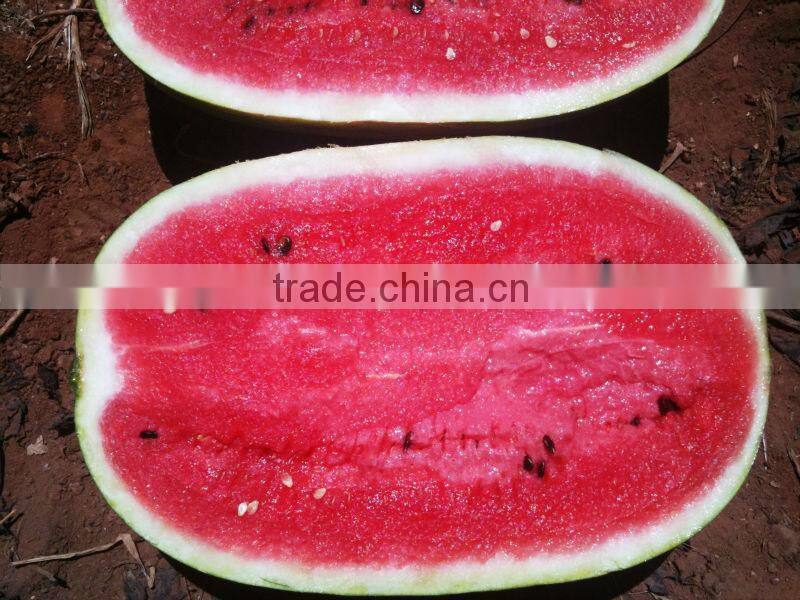 Fresh Sweet watermelon