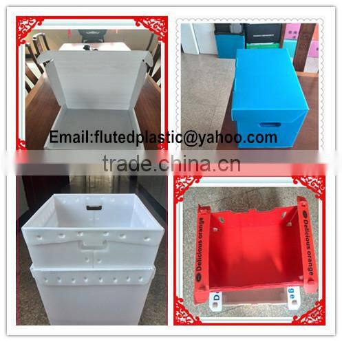 PP plastic okra coroplast package box