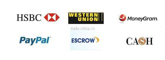 2016 Newest High quality Pico Travel Cinema DLP Projector UC50